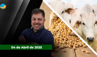 Fechamento de Mercado - Com Aleksander Horta