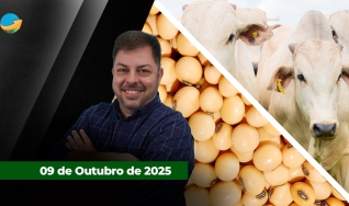FECHAMENTO DO MERCADO
