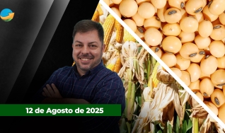 Fechamento de Mercado - Programa Completo