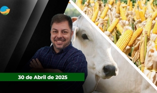 Fechamento de Mercado - Programa Completo