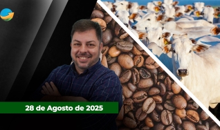 Fechamento de Mercado - Programa Completo