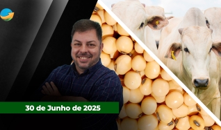 Fechamento de Mercado - Programa Completo