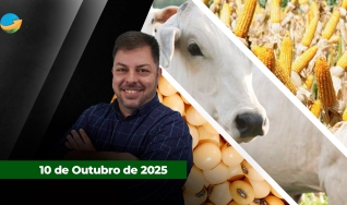 Fechamento de Mercado - Programa Completo