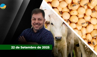Fechamento de Mercado - Programa Completo