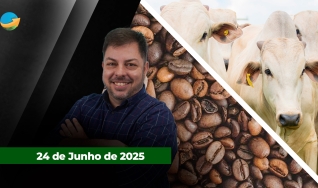 Fechamento de Mercado - Programa Completo