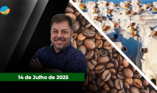 Fechamento de Mercado - Programa Completo