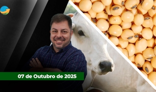 Fechamento de Mercado - Programa Completo
