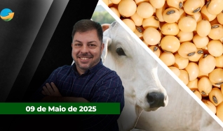 Fechamento de Mercado - Programa Completo