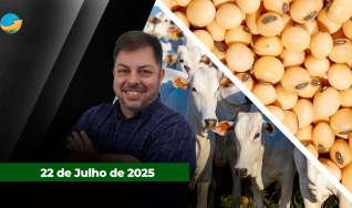Fechamento de Mercado - Programa Completo
