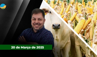 Fechamento de Mercado - Com Aleksander Horta