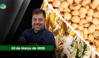 Fechamento de Mercado - Programa Completo