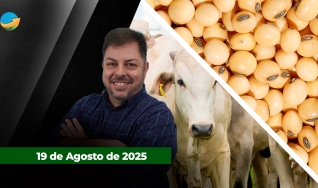 Fechamento de Mercado - Programa Completo