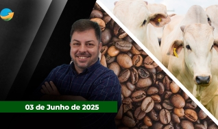 Fechamento de Mercado - Programa Completo