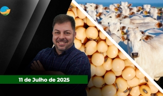 Fechamento de Mercado - Programa Completo