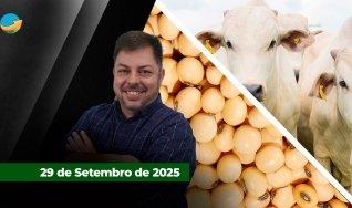 Fechamento de Mercado - Programa Completo