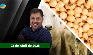 Fechamento de Mercado - Com Aleksander Horta
