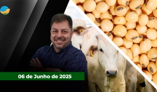 Fechamento de Mercado - Programa Completo