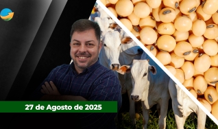 Fechamento de Mercado - Programa Completo