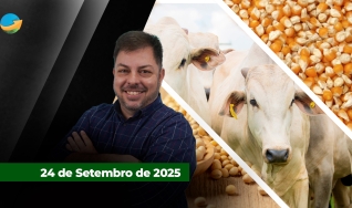 Fechamento de Mercado - Programa Completo