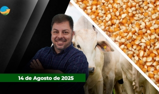 Fechamento de Mercado - Programa Completo
