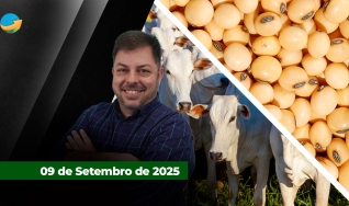 Fechamento de Mercado - Programa Completo