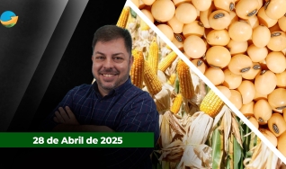 Fechamento de Mercado - Programa Completo