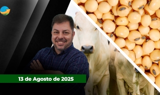 Fechamento de Mercado - Programa Completo