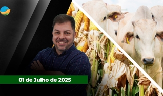 Fechamento de Mercado - Programa Completo
