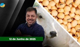Fechamento de Mercado - Programa Completo