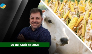 Fechamento de Mercado - Programa Completo