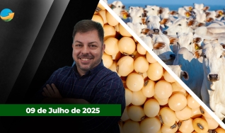 Fechamento de Mercado - Programa Completo