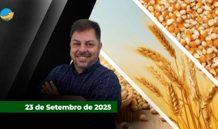 Fechamento de Mercado - Programa Completo