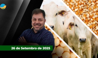 Fechamento de Mercado - Programa Completo