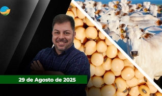 Fechamento de Mercado - Programa Completo
