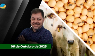 Fechamento de Mercado - Programa Completo