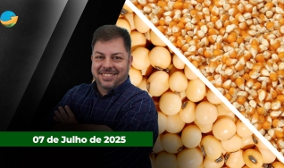 Fechamento de Mercado - Programa Completo