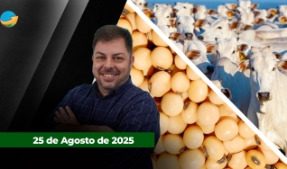 Fechamento do Mercado