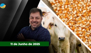 Fechamento de Mercado - Programa Completo