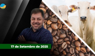 Fechamento de Mercado - Programa Completo