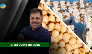 Fechamento de Mercado - Programa Completo