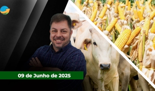 Fechamento de Mercado - Programa Completo