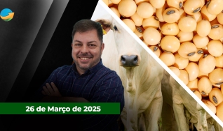 Fechamento de Mercado - Com Aleksander Horta