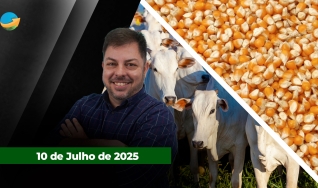 Fechamento de Mercado - Programa Completo