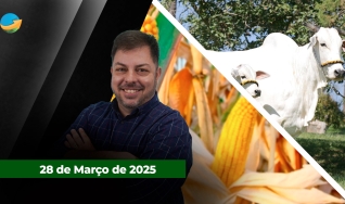 Fechamento de Mercado - Com Aleksander Horta