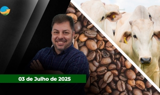 Fechamento de Mercado - Programa Completo