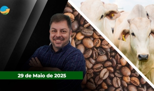 Fechamento de Mercado - Programa Completo