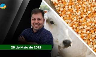Fechamento de Mercado - Programa Completo