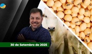 Fechamento de Mercado - Programa Completo