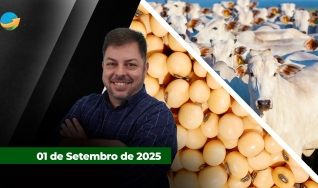 Fechamento de Mercado - Programa Completo