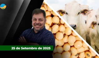 Fechamento de Mercado - Programa Completo